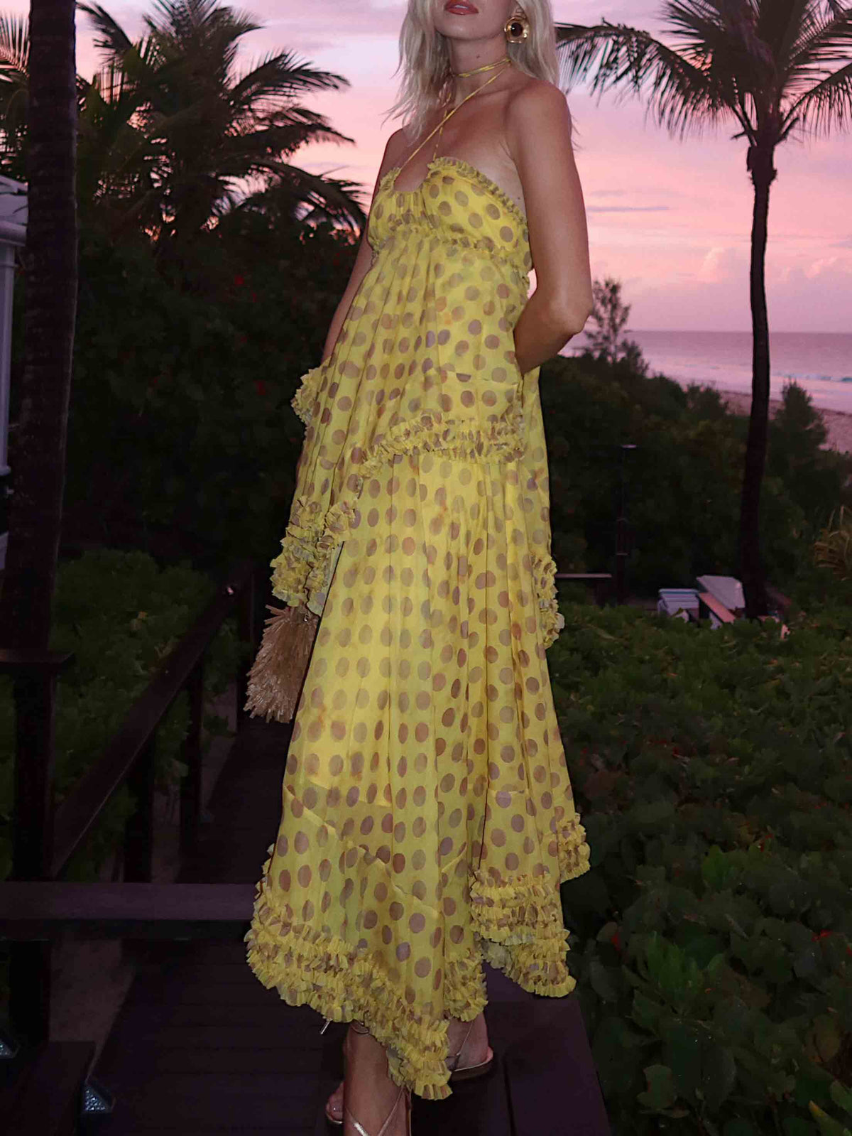 Exquisite Halter Polka Dot Chiffon Maxi Dress