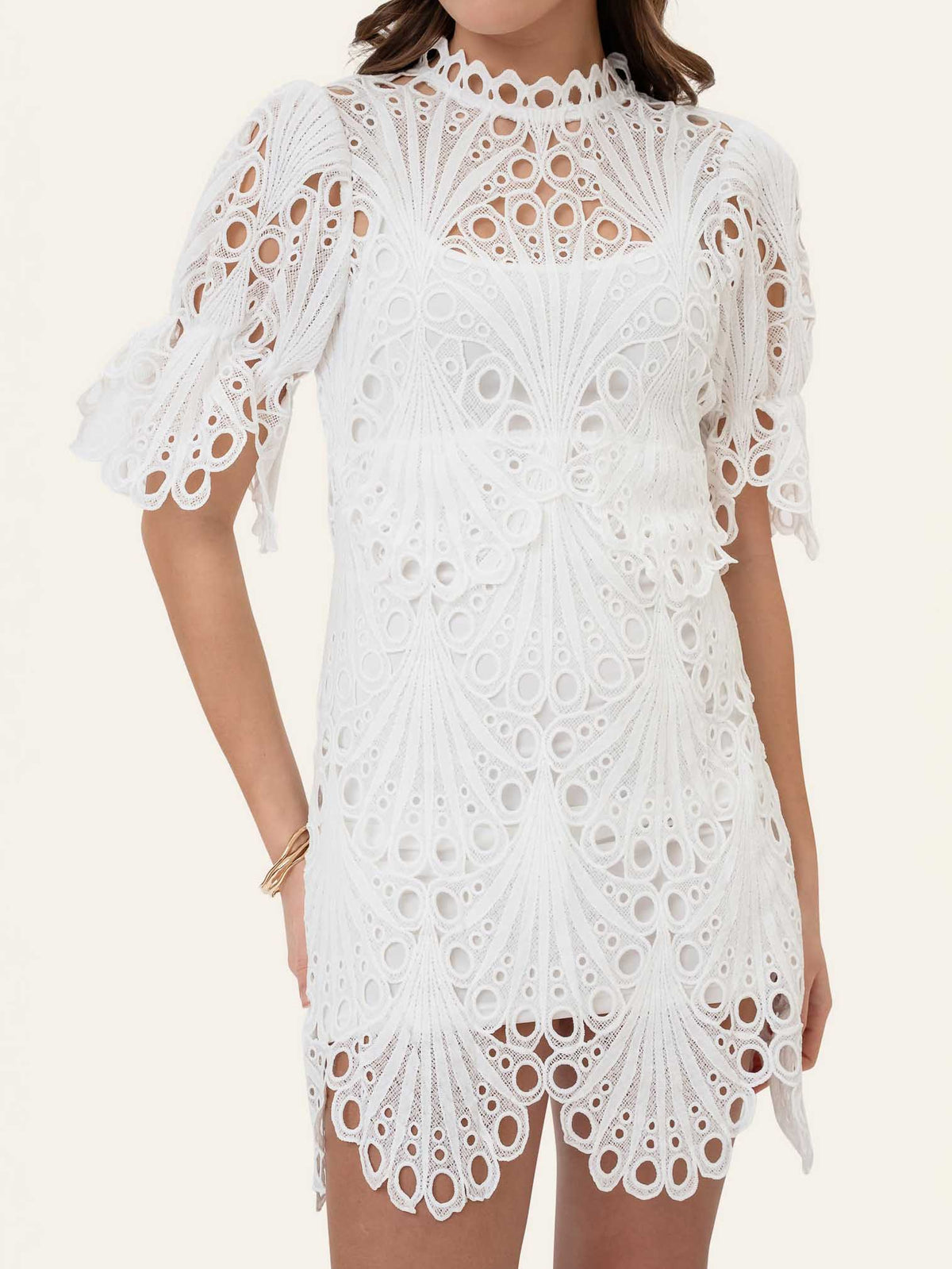 Exquisite Peacock Pattern Openwork Lace Mini Dress