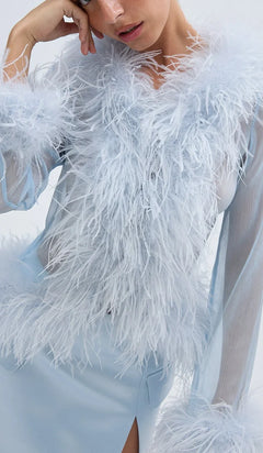 Baby Blue Feather Trim Long Sleeve Top and Mini Skirt Two Piece Set [erp-image:660e13b5f7fc34257a364f86]