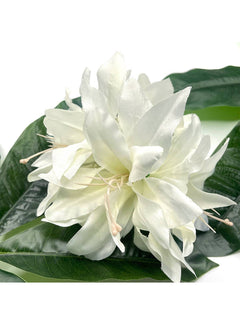 Lily Hair Clip