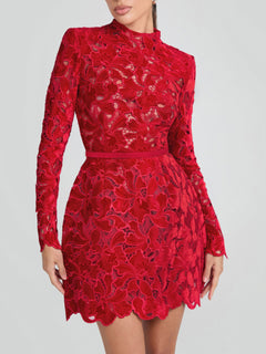 Elegant And Sophisticated Lace Mini Dress