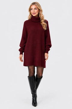 Turtleneck Drop Shoulder Oversized Knit Sweater Dress [erp-image:179a4b9b5b21ddfbc03e07c3]
